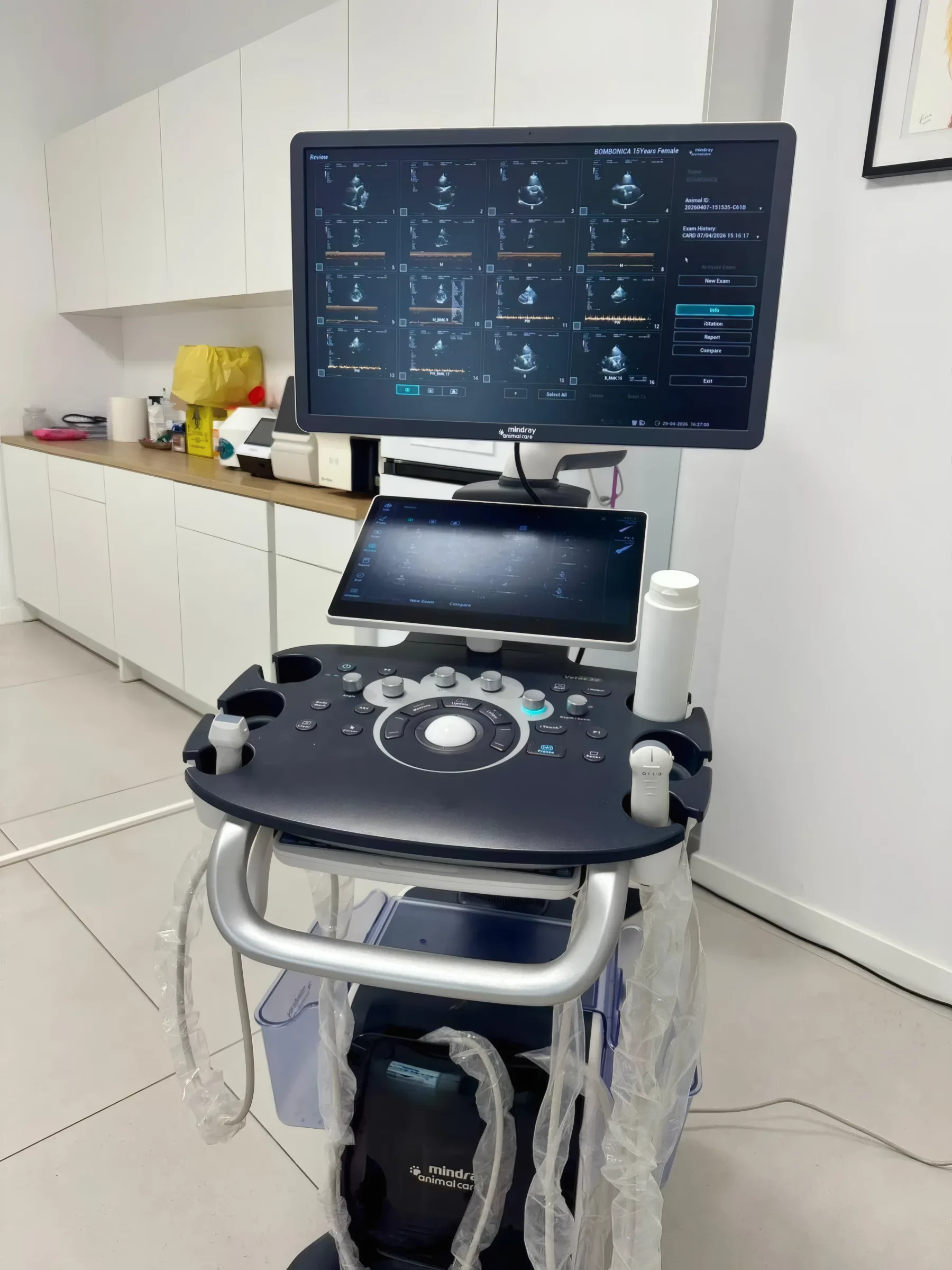 Ecograf veterinar performant la Vetricare